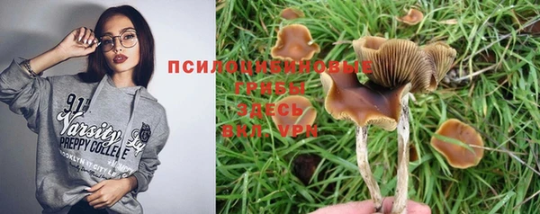 мяу мяу мука Армянск